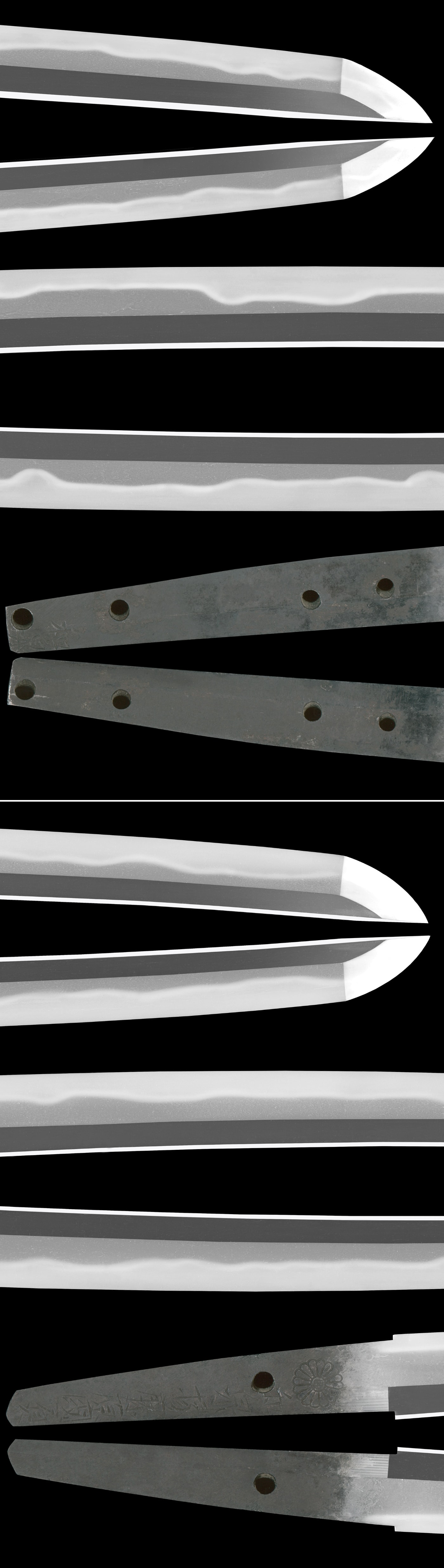 大小 刀 和泉(以下切)(和泉守国貞・初代)(新刀上々作) 脇差 (菊紋)和泉掾藤原国貞(菊紋追刻)(二代・井上真改) (新刀 最上作) - Photo 5