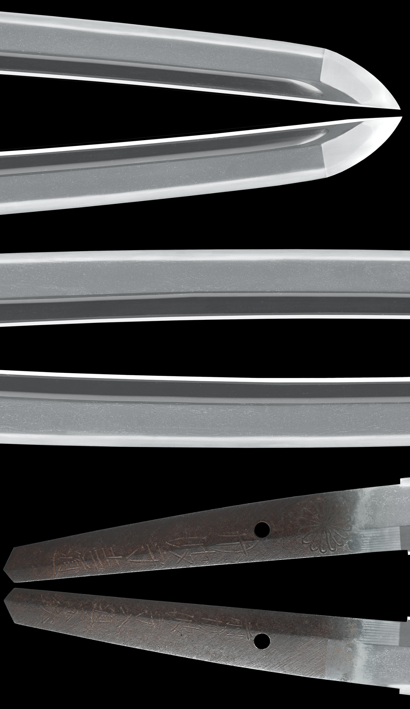 刀 (菊紋)丹波守吉道(京四代・五代合作) 前丹波守宗鉄 - Photo 4