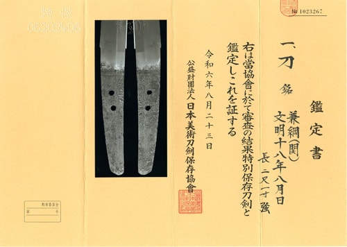 Katana signed KANETSUNA In the 8th month Bunmei 18th with) Gold pearl of inlay Gold sprinkled Nashiji Plum blossom branch Makie workEfu Tachi Koshirae