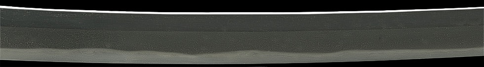 於武州江戸越前康継 以南蛮鉄(初代) (第17回重要刀剣) - Photo 24