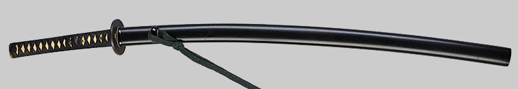 肥前国保則(佐賀) 昭和五十二年ニ月 - Photo 16