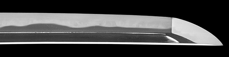 作陽幕下士細川正義 刻印 嘉永二己酉年仲秋 (武蔵)(東海道) - Photo 21