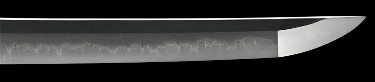 浪華月山雲龍子貞一造 慶應二年八月日 (大阪) - Photo 22