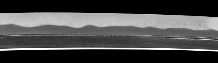 作陽幕下士細川正義 刻印 嘉永二己酉年仲秋 (武蔵)(東海道) - Photo 23