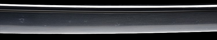 源寿王 〇〇所持 昭和五十二年一月日(埼玉) - Photo 22