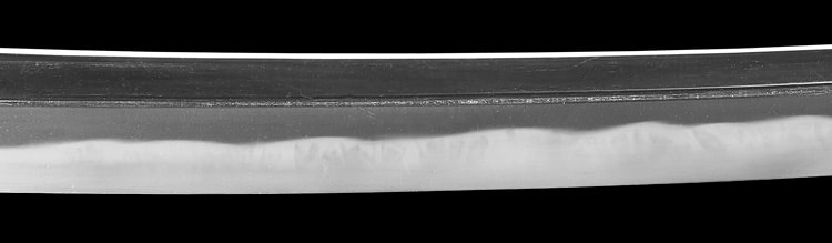 作陽幕下士細川正義 刻印 嘉永二己酉年仲秋 (武蔵)(東海道) - Photo 24