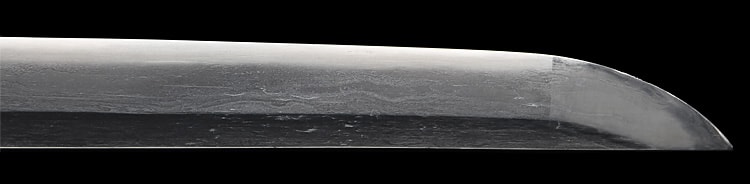 無銘(新々刀海部) (阿波)(南海道) - Photo 21