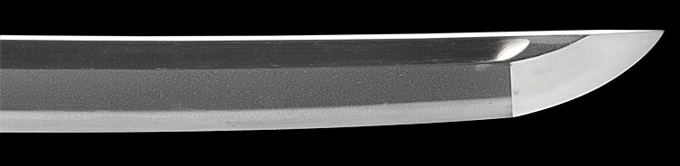 肥前國住近江大掾藤原忠廣(肥前)(西海道) - Photo 21