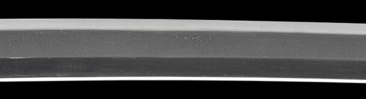 肥前國住近江大掾藤原忠廣(肥前)(西海道) - Photo 22