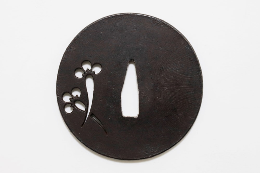 丁子小透図 - Photo 2