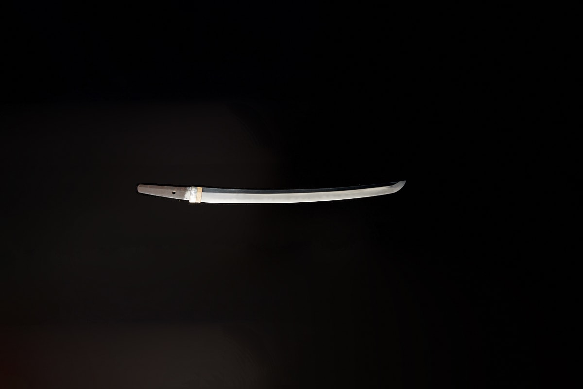 01-3005 信濃守藤原信吉(拵付)脇差(日刀保・特別保存) - Photo 4