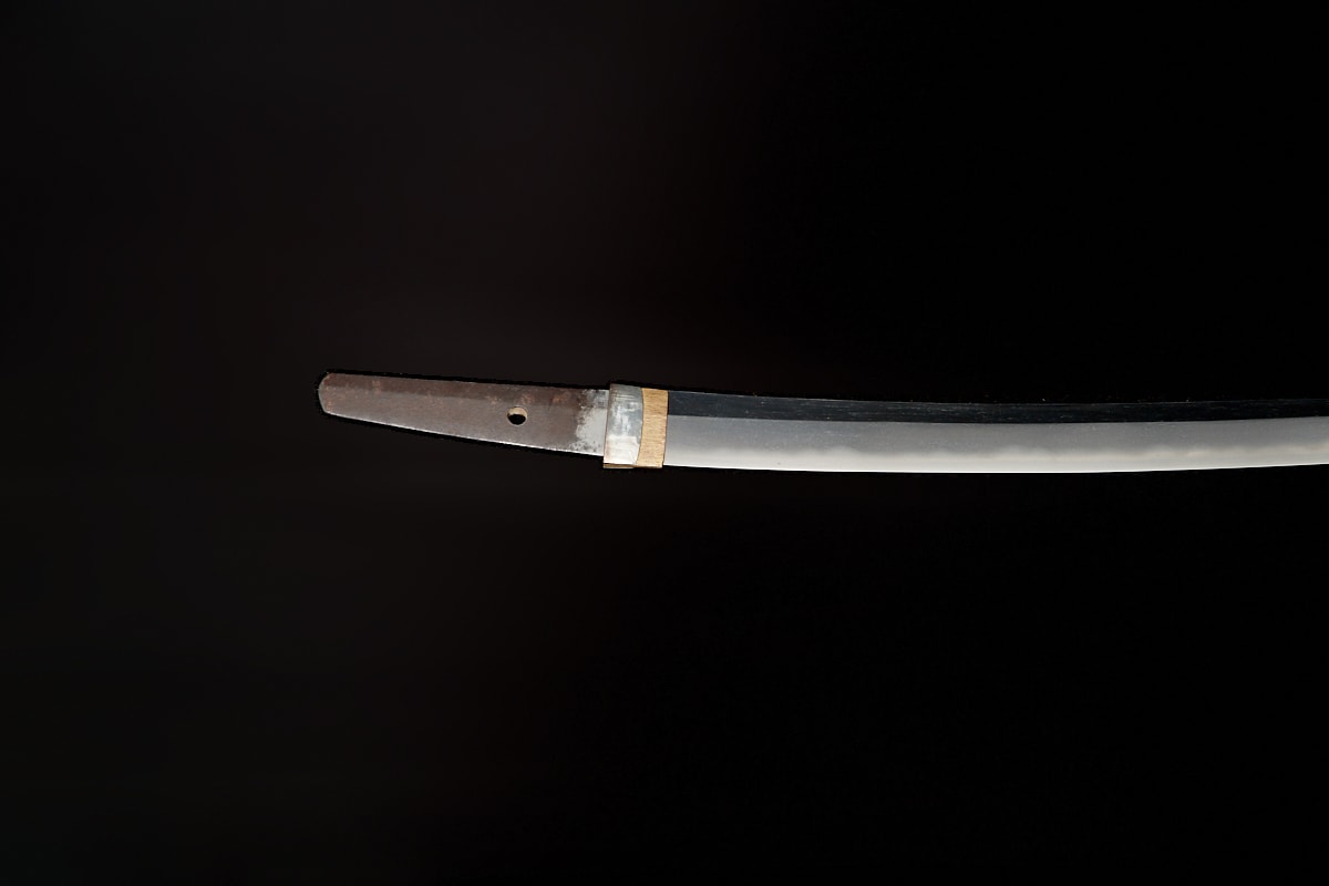 01-3005 信濃守藤原信吉(拵付)脇差(日刀保・特別保存) - Photo 7