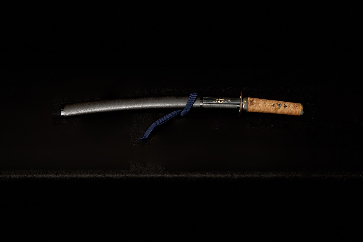 01-3005 信濃守藤原信吉(拵付)脇差(日刀保・特別保存) - Photo 3