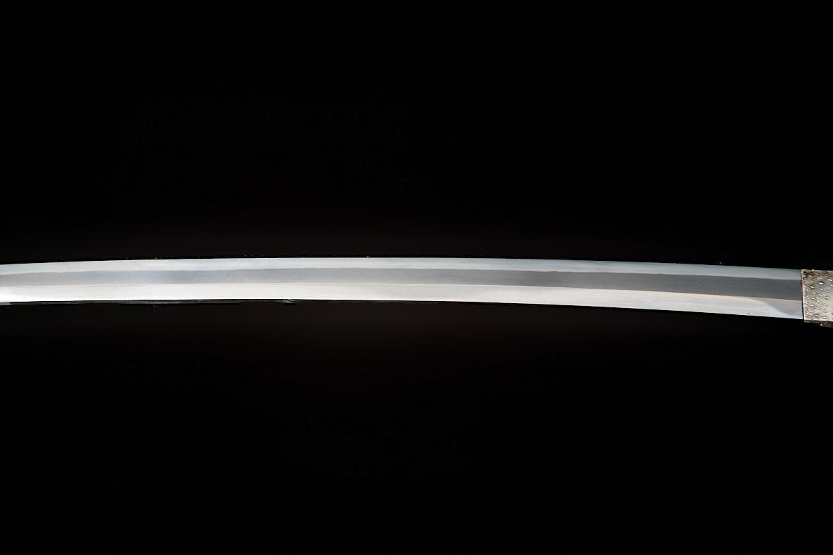 01-3025 山城大掾源國重(白鞘)脇差 (日刀保・特別保存) - Photo 9