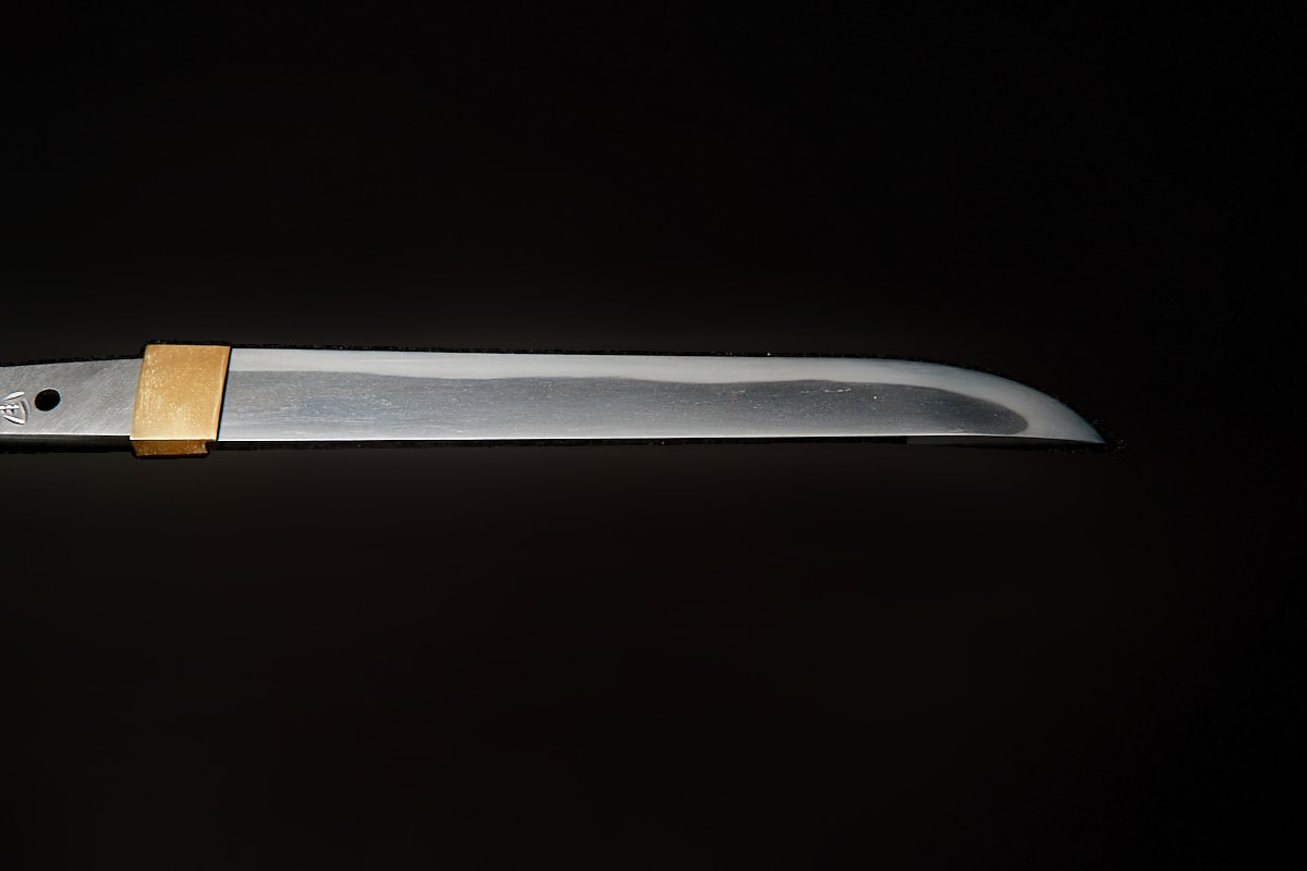 01-431 甲斐国重光(白鞘) - Photo 4