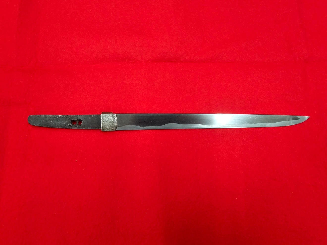 02-3174 無銘 白鞘 - Photo 2