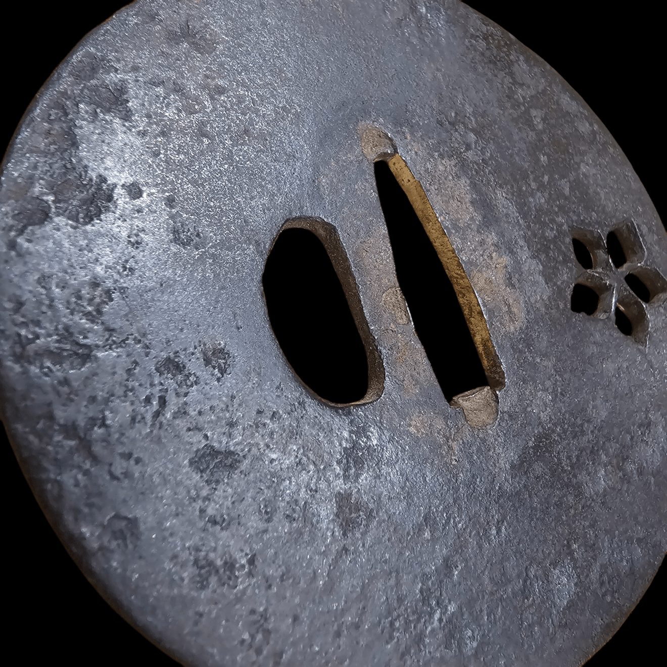 03-495 桜図 丸鍔 - Photo 3