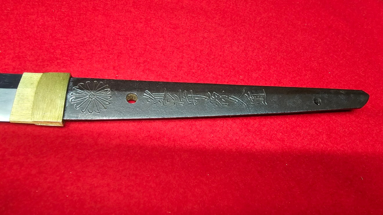 01-3156 【特別保存刀剣】菊紋近江守源久道 寛保二年戌八月吉日 刀 - Photo 10