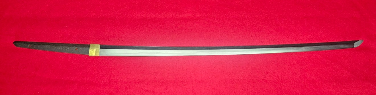 01-3156 【特別保存刀剣】菊紋近江守源久道 寛保二年戌八月吉日 刀 - Photo 3