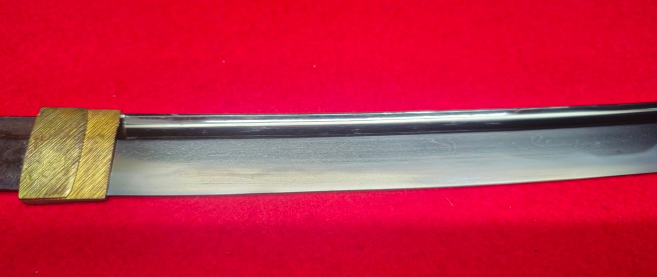 02-3189 保存刀剣 無銘(兼延) 脇差 白鞘 - Photo 5