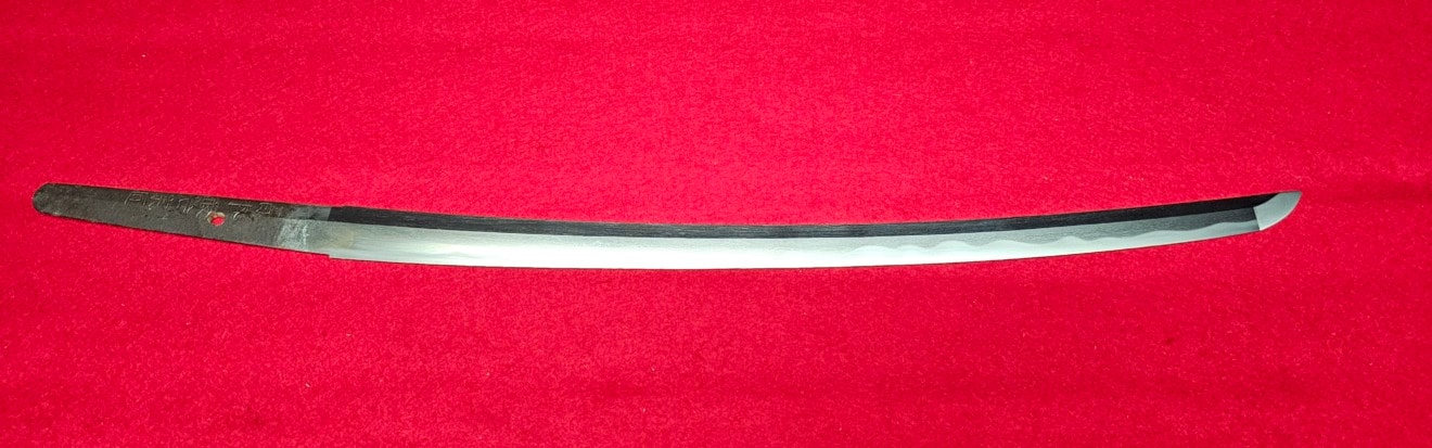 02-3205 【特別保存刀剣】菊紋 伊賀守藤原金道 三代 (Kikumon) Iga-no-kami Fujiwara Kinmichi(3rd generation) 日本鍛冶宗匠 脇差 Wakizasi - Photo 4