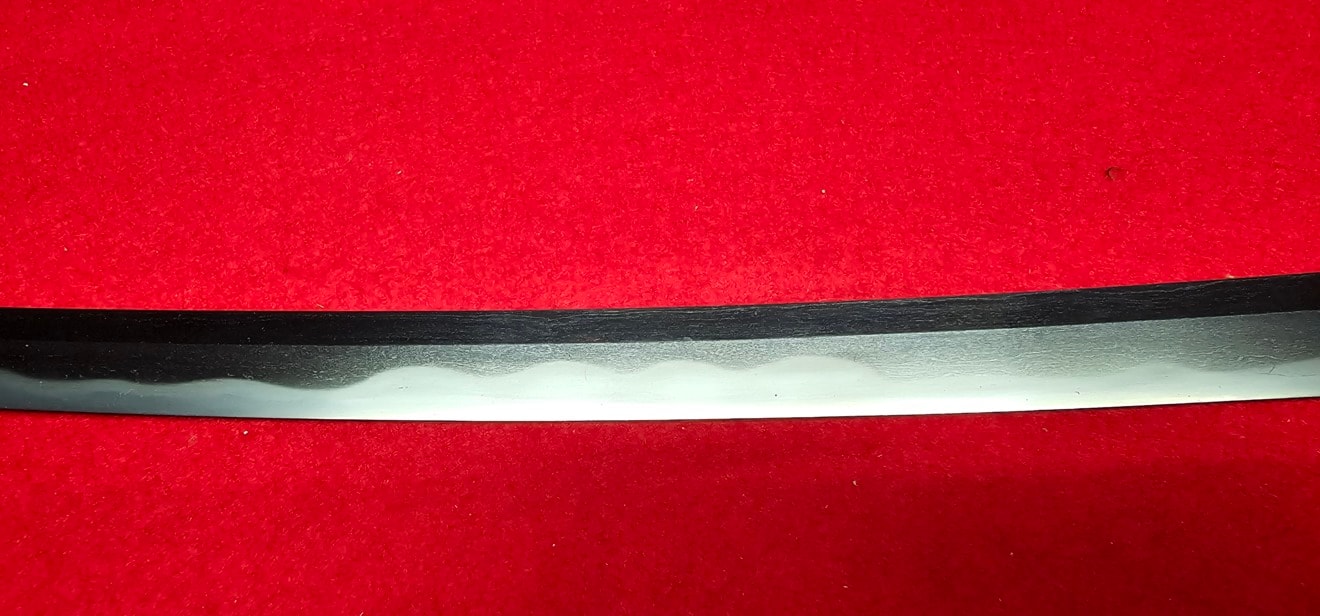 02-3205 【特別保存刀剣】菊紋 伊賀守藤原金道 三代 (Kikumon) Iga-no-kami Fujiwara Kinmichi(3rd generation) 日本鍛冶宗匠 脇差 Wakizasi - Photo 12