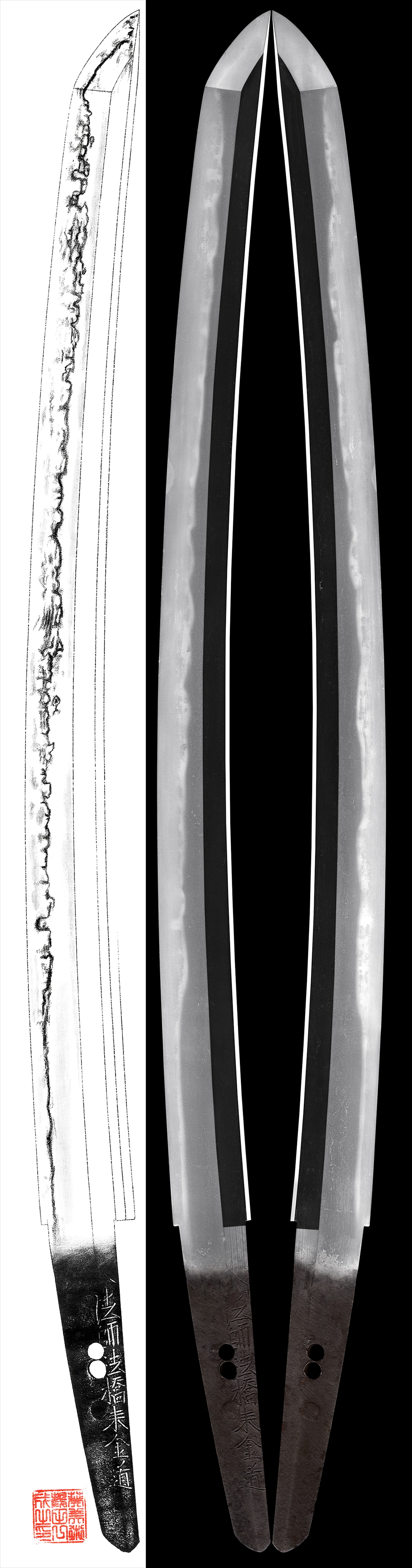 Wakizashi: Daihoshi Hokyo Rai Kinmichi