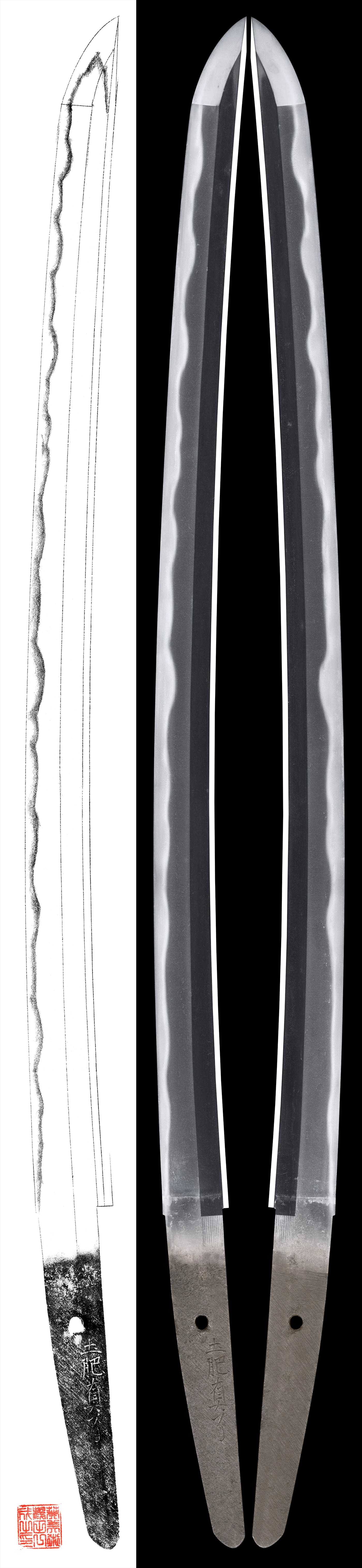 Wakizashi:Doi Shinryo(NBTHK Tokubetsu Hozon Token)