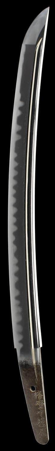 脇差 銘 播磨守輝廣 (業物) Wakizashi signed Harima no kami TERUHIRO (Wazamono)