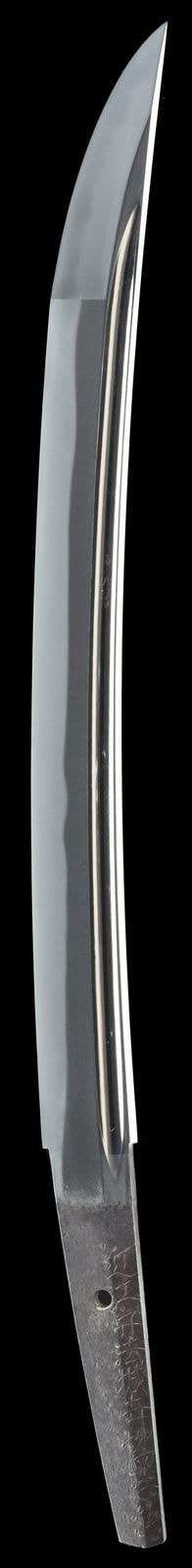 脇差 銘 近江守法城寺橘正弘(初代)(業物) Wakizashi: Signed. Omi no kami Hojoji Tachibana no MASAHIRO (The founder) (Wazamono)