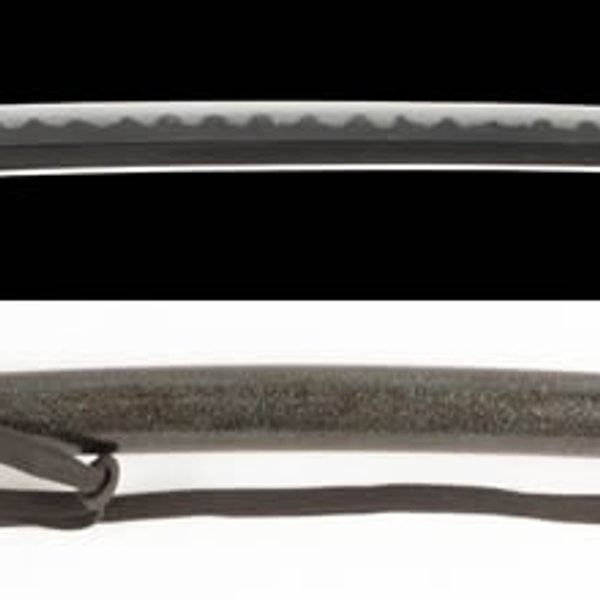 大磨上無銘 伯州広賀