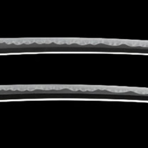 Wakizashi - by Yokoyama School - Mei: Yokoyama Kaga Suke Fujiwara Sukenaga, Tenpo 14th Year, 2nd Month (Chrysanthemum Crest) Ichibiyo Osafune Go
