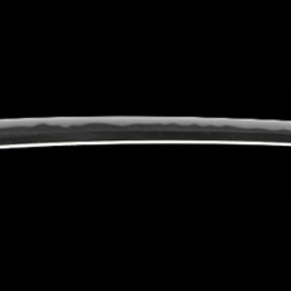 銘 信濃大掾藤原忠国(業物)