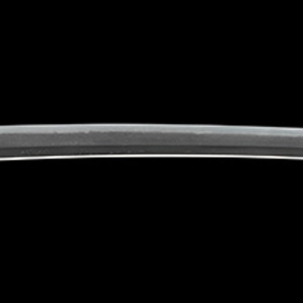 生ぶ茎無銘 同田貫