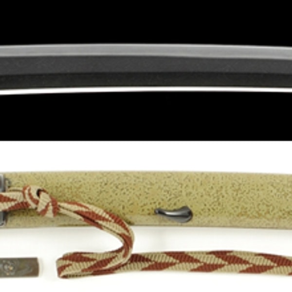 Wakizashi - by Hizen Tadahiro - Japanese Sword for Sale | Ginza Choshuya | Signed Hizen Kuni Ju Fujiwara Tadahiro (O-wazamono), 253