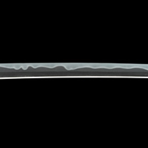 銘 坂倉言之進照包 延宝九年八月日(大業物)