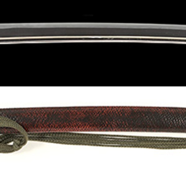 銘 氏信岩捲 (業物)