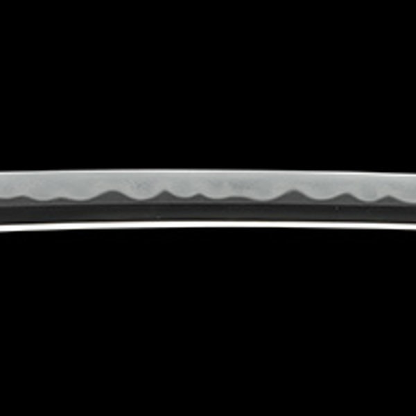 Wakizashi - by Sukehiro Sukenao - 折返銘 近江守高木 住助直(良業物)