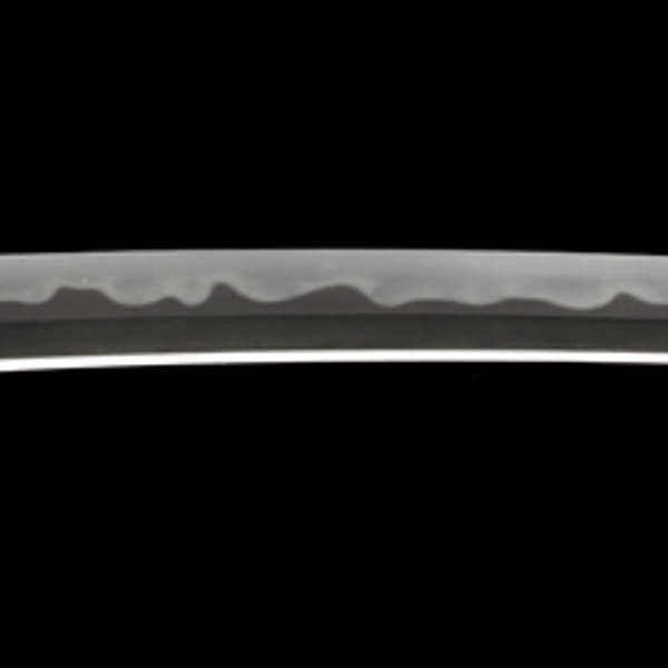 Wakizashi - by Shinto Kanesada - Echigo no Kami Kanesada (O-wazamono)