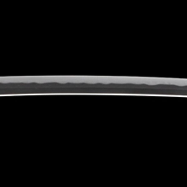 銘 肥前国忠広(五代忠吉)(業物)