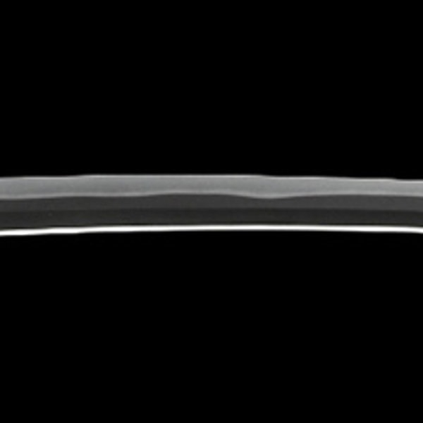 Wakizashi - by Sukehiro Sukenao - 銘 近江守高木住助直 (良業物)