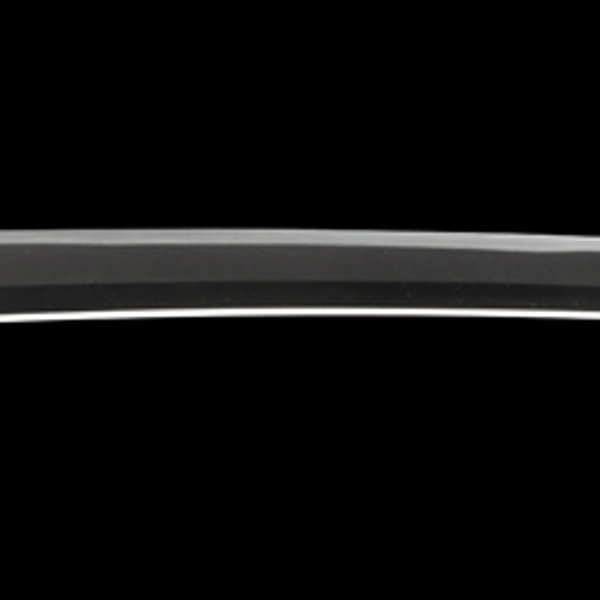 Wakizashi - by Hizen Tadahiro - 銘 近江大掾藤原忠広(大業物)