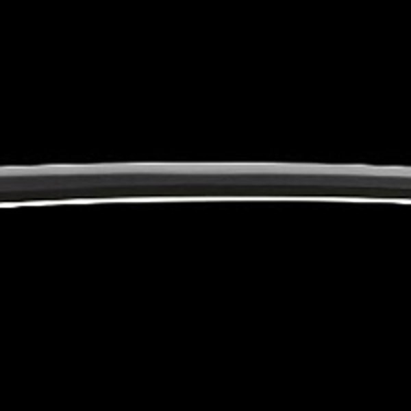 銘 肥前国近江守忠吉(五代)(業物)