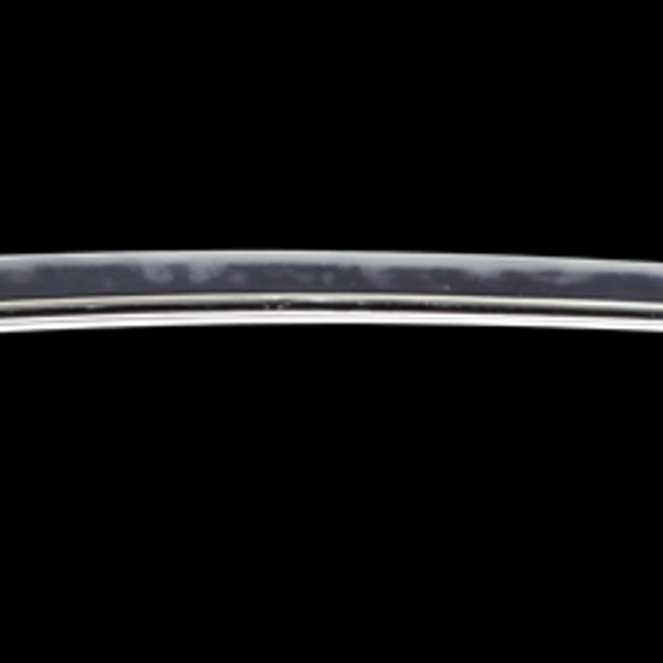 銘 上野大掾藤原久国(土佐) 朱銘 大神朝臣干城所持