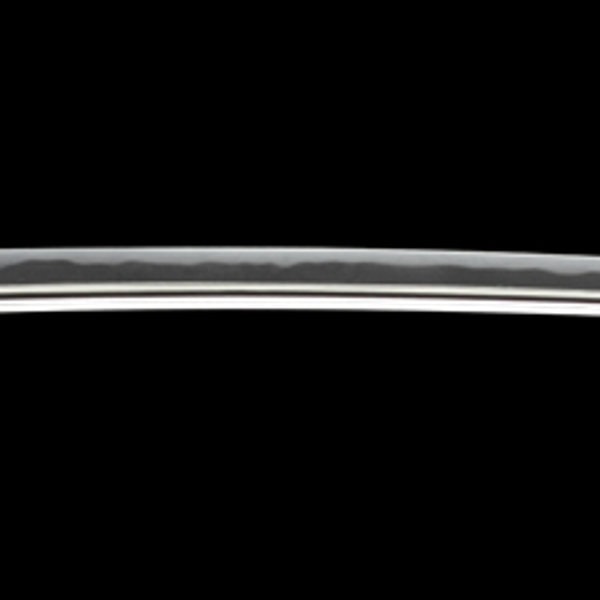 銘 荘司筑前大掾大慶藤直胤(花押)文政六年仲春