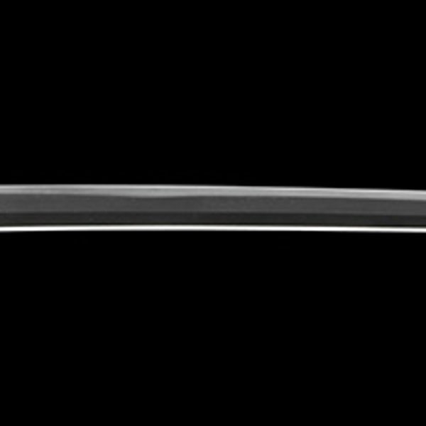 生ぶ茎無銘 阿州祐芳