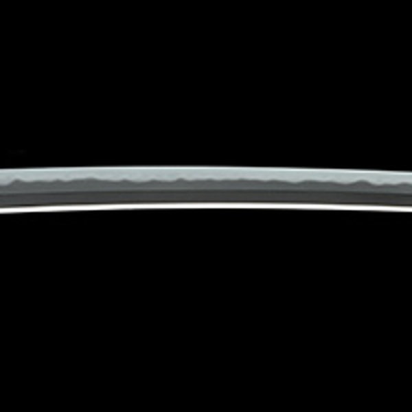 銘 於大坂和泉守国貞作之 (大業物)