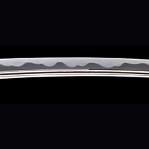 Wakizashi - by Sukehiro Sukenao - 銘 近江守高木住助直(良業物)