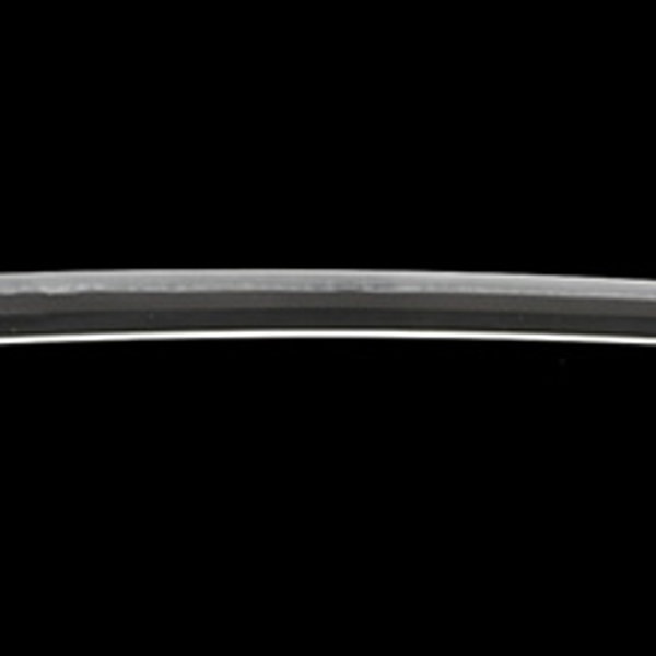 銘 肥前国住近江大掾藤(以下切藤原忠広)(大業物)