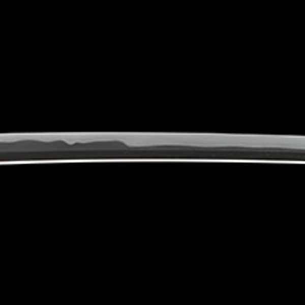 銘 (菊紋)和泉守来金道(三代) (業物)